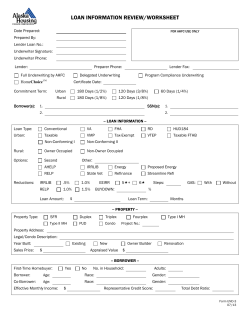 LOAN INFORMATION REVIEW/WORKSHEET