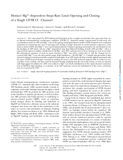 Distinct Mg2 -dependent Steps Rate Limit Opening and Closing of a