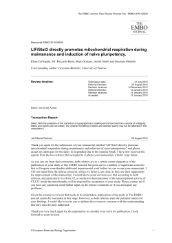 Stat3 promotes mitochondrial transcription and oxidative respiration