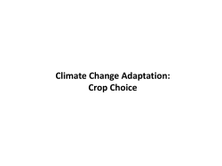 - UNDP Climate Change Adaptation