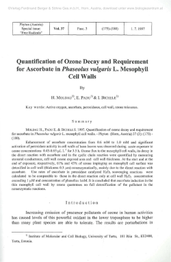 Quantification of Ozone Decay and Requirement for