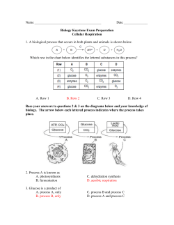 Name Date Biology Keystone Exam Preparation Cellular