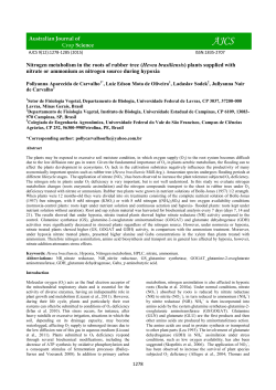Nitrogen metabolism in the roots of rubber tree (Hevea brasiliensis