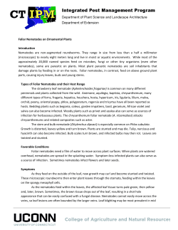 Foliar Nematodes on Ornamental Plants Introduction