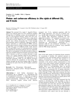 and carbon-use efficiency in Ulva rigida at different CO2 and N levels