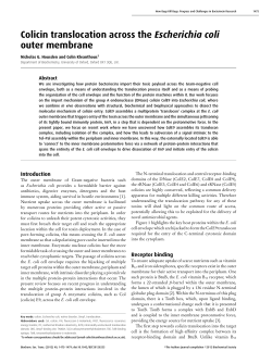 Colicin translocation across the Escherichia coli outer membrane
