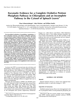 Enzymatic Evidence for a Complete Oxidative Pentose Phosphate