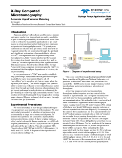 X-Ray Computed Microtomography