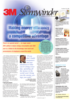 Making Energy Efficiency a Competitive Advantage