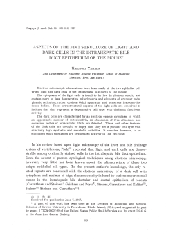 aspects of the fine structure of light and dark cells in the intrahepatic