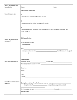 Topic: Cell Growth and Reproduction Name: Date: What limits cell