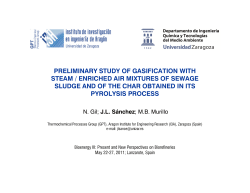 Preliminary Study of Gasification with Steam/Enriched Air Mixtures of