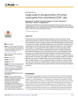 Large-scale ex vivo generation of human neutrophils from