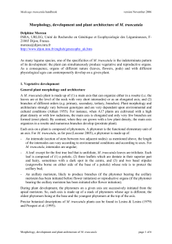 Morphology, development and plant architecture of M. truncatula