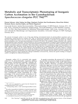 Metabolic and Transcriptomic Phenotyping of Inorganic Carbon