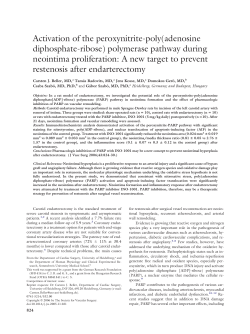 Activation of the peroxynitrite-poly(adenosine diphosphate