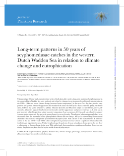Long-term patterns in 50 years of scyphomedusae catches in the