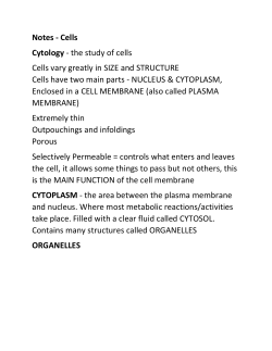 anatomy cell notes - McCreary County Schools