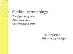 Medical terminology