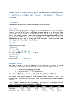 Orthologue_clustering_v3