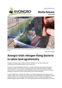 Avongro trials nitrogen-fixing bacteria in saline land agroforestry