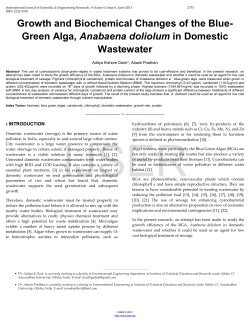 Growth and Biochemical Changes of the Blue-Green Alga