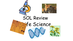 SOL Review - Schoolnet