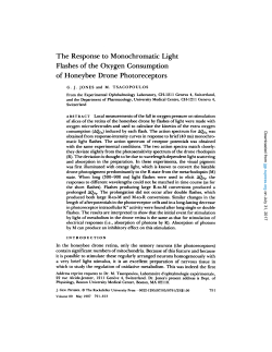 The Response to Monochromatic Light Flashes of the Oxygen