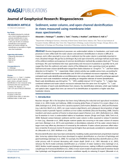 Sediment, water column, and open-channel denitrification in rivers