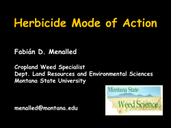 Herbicide Mode of Action