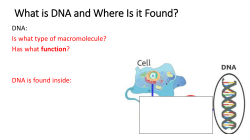 Endosymbiosis - Manhasset Public Schools