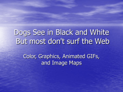 Dogs See in Black and White But most don`t surf the Web