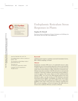 Endoplasmic Reticulum Stress Responses in Plants
