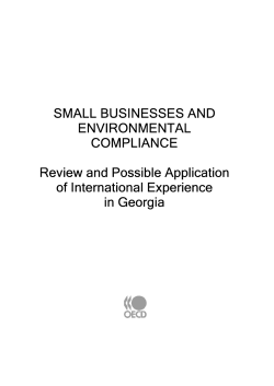 SMALL BUSINESSES AND ENVIRONMENTAL
