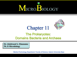 Chapter 11