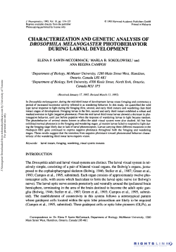 Characterization and Genetic Analysis of Drosophila