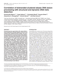 Correlation of bistranded clustered abasic DNA lesion processing