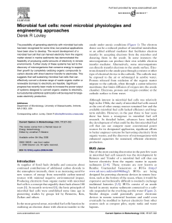 Microbial fuel cells: novel microbial physiologies