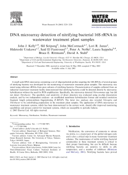 DNA microarray detection of nitrifying bacterial 16S rRNA in