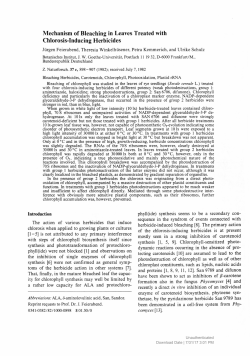 Mechanism of Bleaching in Leaves Treated with