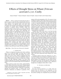 Effects of Drought Stress on Wheat (Triticum aestivum L.) cv. Coolly