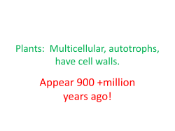 Plants: Multicellular, autotrophs, have cell walls.