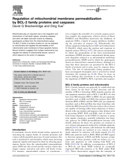 Regulation of mitochondrial membrane permeabilization by BCL