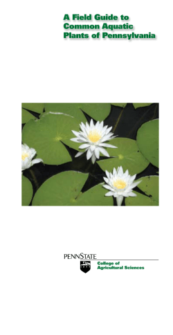 A Field Guide to Common Aquatic Plants of Pennsylvania
