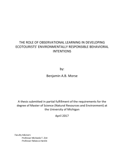 THE ROLE OF OBSERVATIONAL LEARNING IN
