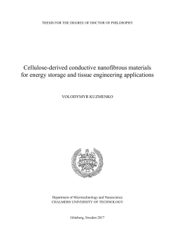 Cellulose-derived conductive nanofibrous materials for energy