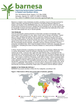 Banana is a staple in many developing countries, providing a source