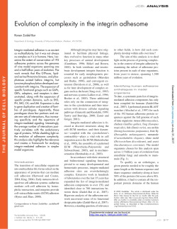 Evolution of complexity in the integrin adhesome