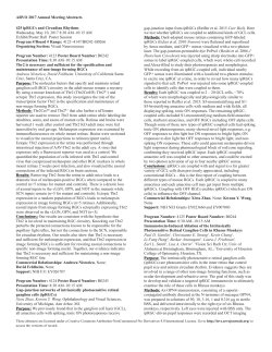Session 425 ipRGCs and Circadian Rhythms