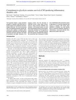 Commitment to glycolysis sustains survival of NO